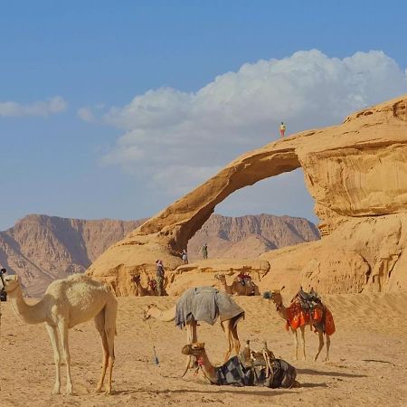 Wadi Rum Desert Camp Екстериор снимка