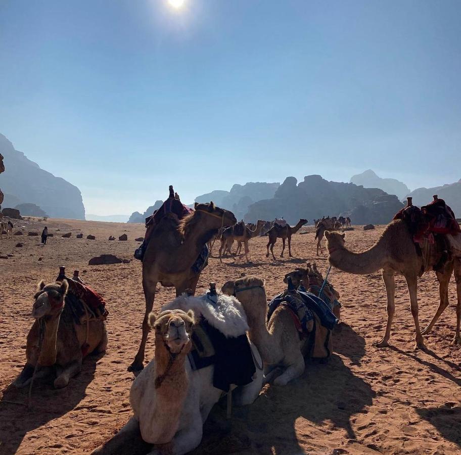 Wadi Rum Desert Camp Екстериор снимка