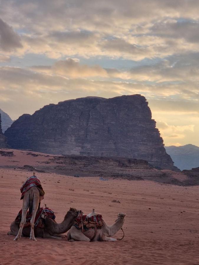 Wadi Rum Desert Camp Екстериор снимка