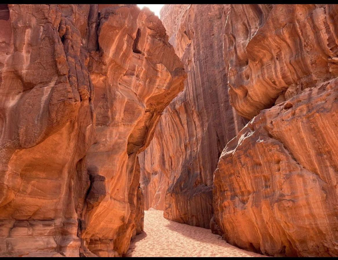 Wadi Rum Desert Camp Екстериор снимка